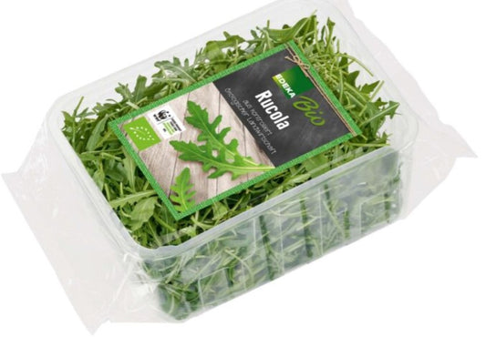 EDEKA Bio Rucola  100g Schale